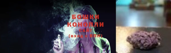 крисы Аркадак