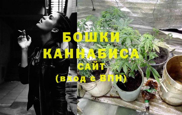молекула духа Армянск