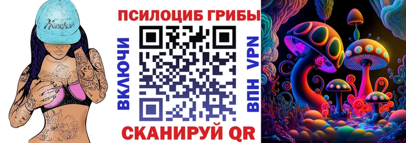 Псилоцибиновые грибы мицелий  магазин продажи   Суворов 