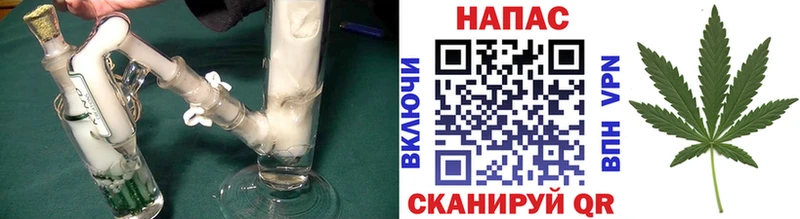 Каннабис планчик  Суворов 